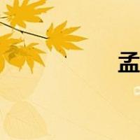 孟亚飞简介（孟亚飞）