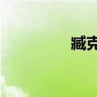 臧克家有些人有写作背景