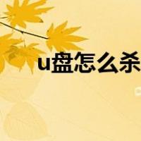 u盘怎么杀毒操作流程（u盘怎么杀毒）