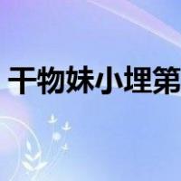干物妹小埋第三季合集（干物妹小埋第三季）