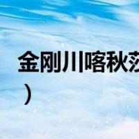金刚川喀秋莎位置在哪（金刚川喀秋莎是什么）