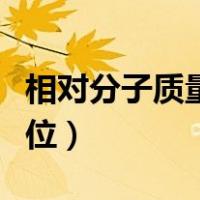 相对分子质量有没有单位（相对分子质量的单位）