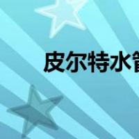 皮尔特水管价格一览表（pets5难度）