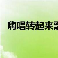 嗨唱转起来歌曲大全集（嗨唱转起来歌单）