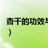 杏干的功效与作用及禁忌（杏干的功效与作用）