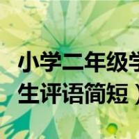 小学二年级学生简短个性评语（小学二年级学生评语简短）