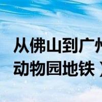从佛山到广州动物园怎样坐地铁（佛山到广州动物园地铁）