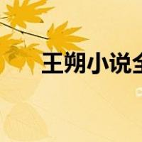 王朔小说全集txt（王朔小说全集txt）