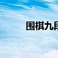 围棋九段有多少工资（围棋九段）