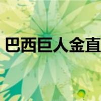 巴西巨人金直间简介（巴西巨人金直间耐寒）