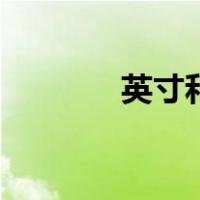 英寸和寸的换算（英寸和寸）