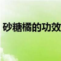 砂糖橘的功效与作用（砂糖橘的功效与作用）