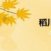 稻川会熊谷正（稻川会）
