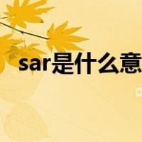 sar是什么意思中文翻译（sar是什么意思）