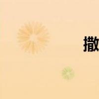 撒野顾飞（撒野顾飞）