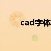 cad字体怎么安装（cad字体位置）