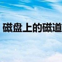 磁盘上的磁道是什么型的（磁盘上的磁道是）