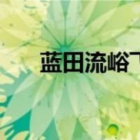 蓝田流峪飞峡好玩不（蓝田流峪飞峡）