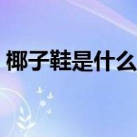 椰子鞋是什么牌子正版（椰子鞋是什么牌子）