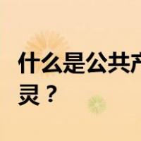 什么是公共产品为什么公共产品会导致市场失灵？