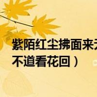紫陌红尘拂面来无人不道看花回翻译（紫陌红尘拂面来无人不道看花回）