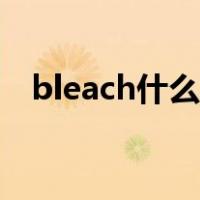 bleach什么意思中文（bleach什么意思）