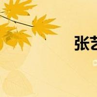 张艺源年收入（张艺源）