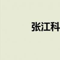 张江科学城规划（张江科学城）