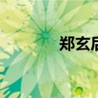 郑玄后人今何在（郑玄简介）