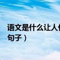 语文是什么让人什么仿写排比句（语文是什么让人什么仿写句子）