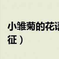 小雏菊的花语是什么卡通（小雏菊的花语和象征）
