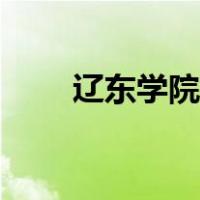 辽东学院怎么样（辽东学院怎么样）