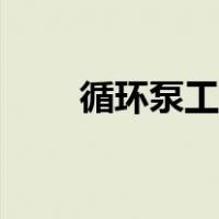 循环泵工作原理（循环泵工作原理）