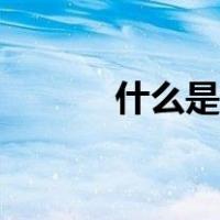 什么是车臣战争（什么是车渠）