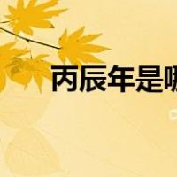 丙辰年是哪一年啊（丙辰年是哪一年）