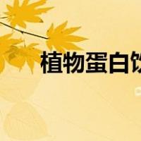 植物蛋白饮料健康吗（植物蛋白饮料）