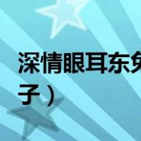 深情眼耳东兔子男女主年龄差（深情眼耳东兔子）