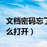 文档密码忘了如何打开文件（文档密码忘了怎么打开）