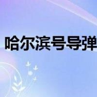 哈尔滨号导弹驱逐舰（哈尔滨号导弹驱逐舰）