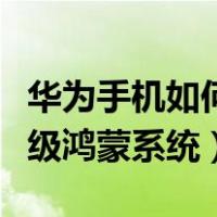 华为手机如何升级鸿蒙系统（华为手机如何升级鸿蒙系统）