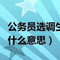 公务员选调生是什么意思啊（公务员选调生是什么意思）