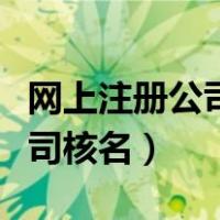 网上注册公司核名通过怎么注销（网上注册公司核名）