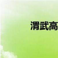 渭武高速通车时间（渭武高速）