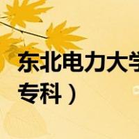东北电力大学专科招生分数线（东北电力大学专科）