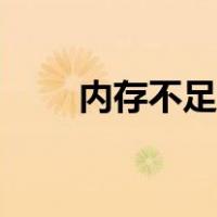 内存不足无法运行microsoft excel