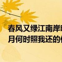 春风又绿江南岸明月何时照我还的作者（春风又绿江南岸明月何时照我还的作者）
