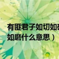有匪君子如切如磋如琢如磨啥意思（有匪君子如切如磋如琢如磨什么意思）