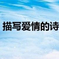 描写爱情的诗句古诗大全（描写爱情的诗句）