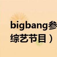 bigbang参加的综艺节目（bigbang参加的综艺节目）