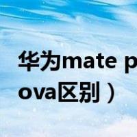 华为mate p nova 荣耀区别（华为mate p nova区别）